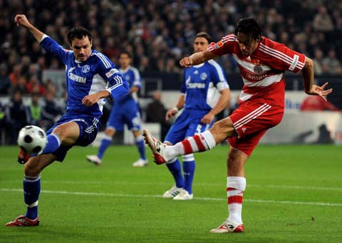 引发了广泛 引发了广泛