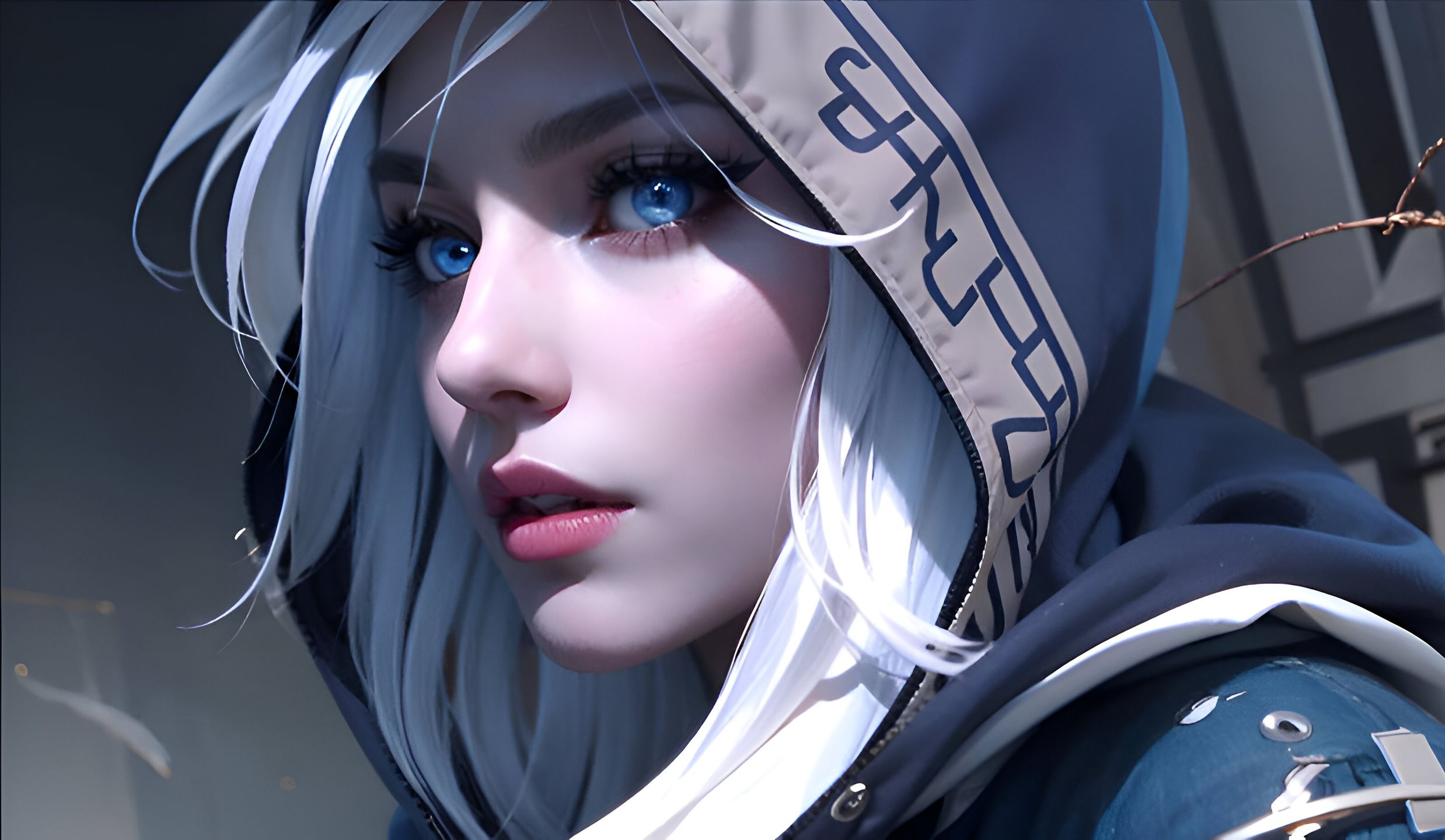 的职业规划 的职业规划