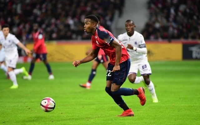 G将以稳定 G将以稳定